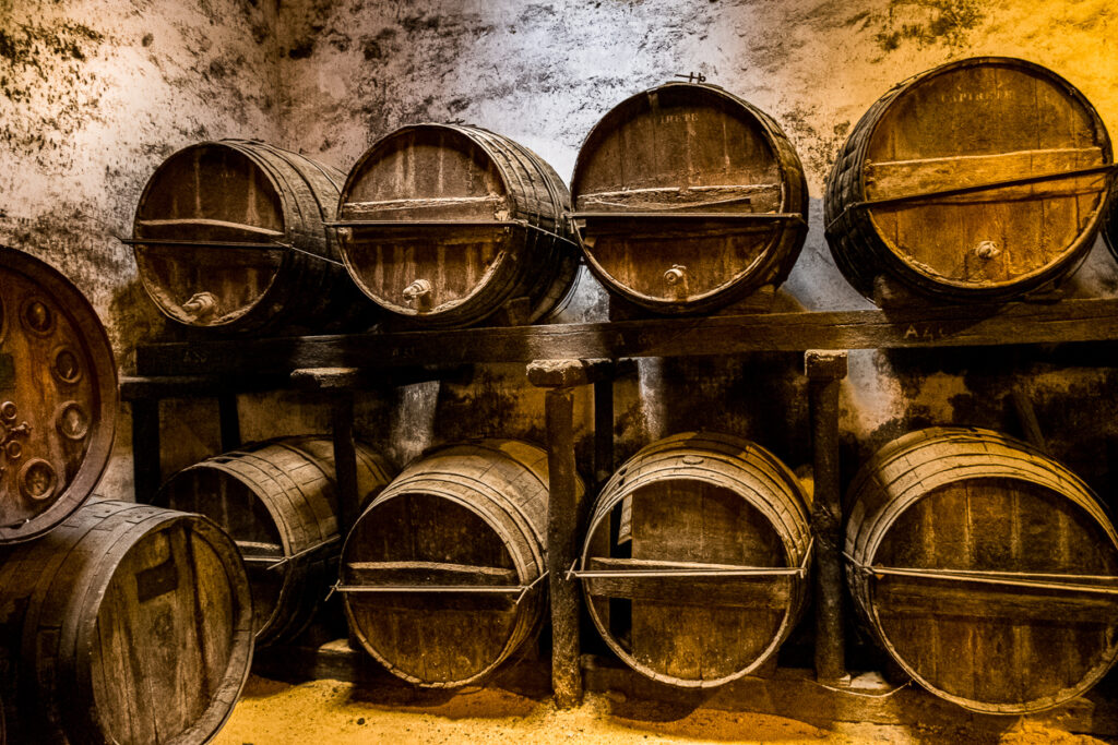 Botti antiche di sherry nelle cantine González Byass di Jerez, illuminate da luce calda contro una parete consumata.