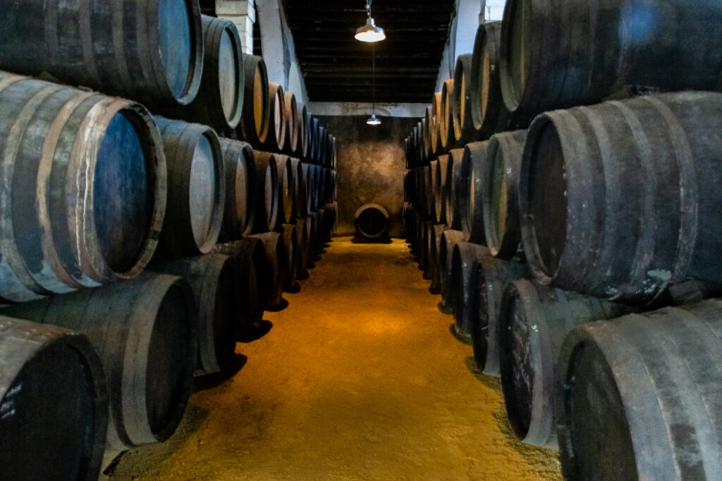 Galleria interna delle Bodegas González Byass con file di botti di sherry disposte lungo un passaggio illuminato.